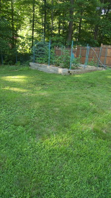 g1/02/82302/3/114432832.H0xsIMnB.jpg
