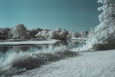 IMG_2272m3.jpg