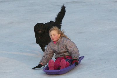 IMG_0286.jpg