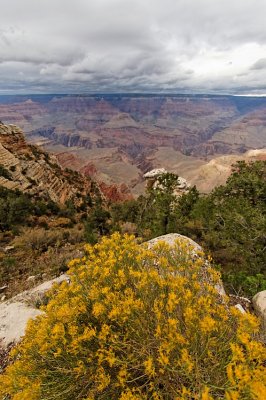  Grand Canyon