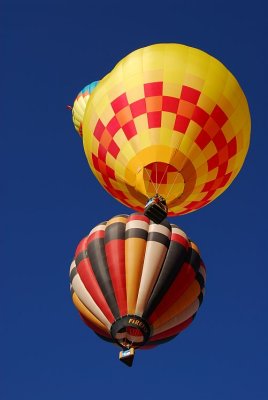 2008 Ballon Fiesta