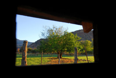 DSC_6134a.jpg