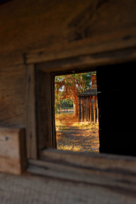 DSC_6137a.jpg