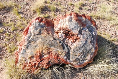 Petrified Forest Rock