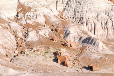 Petrified Forest Rock