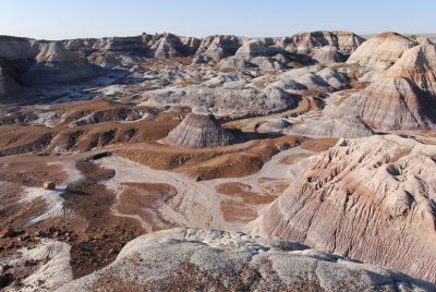 Petrified Forest Bad Land