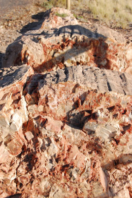 Painted Desert and Petrified Forest