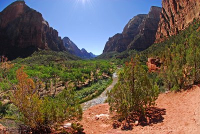 Zion Valley from Kayenta Trail