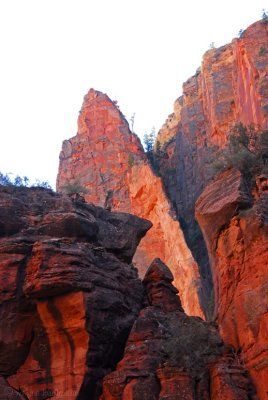 Zion Peaks