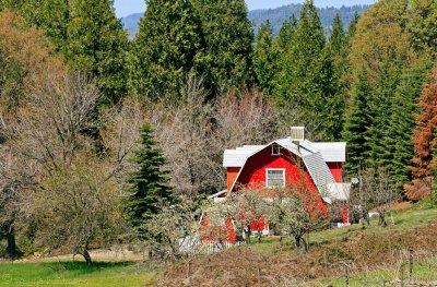 Red House