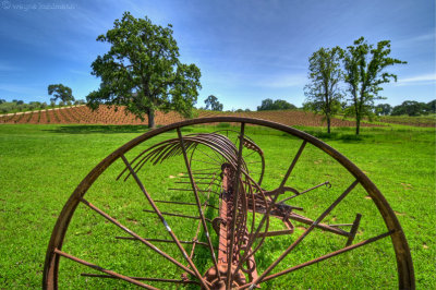 Horse drawn dump hay rake (HDR)