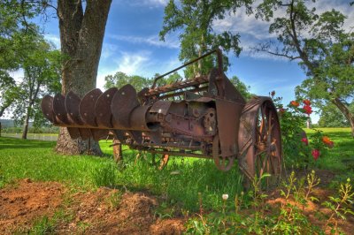 Young's Winery (HDR)