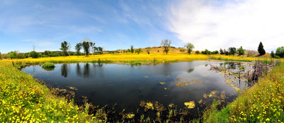 Eldorado Hills Golf Course panorama