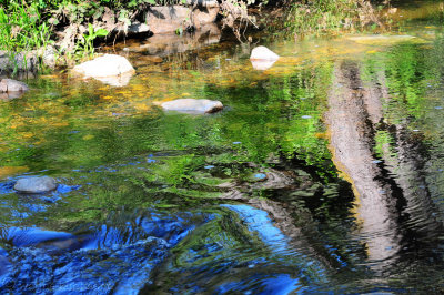 Hangtown Creek