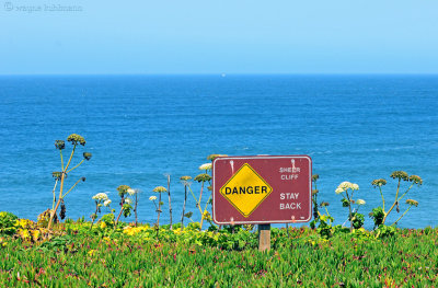 Point Montara Light