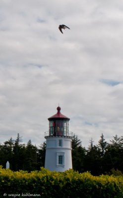 Umpqua River Lighthouse