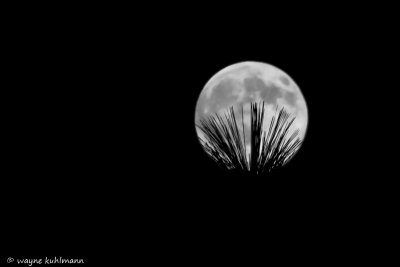 Full Moon