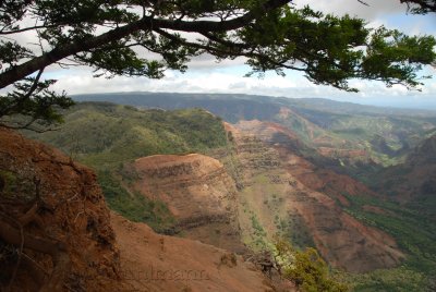Waimea Canyon
