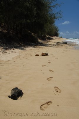 Gillin's Beach