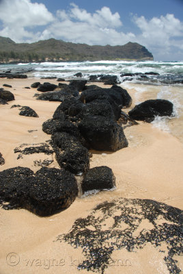 Gillin's Beach