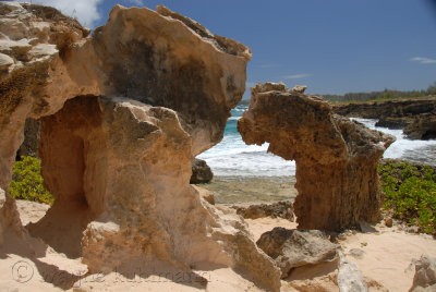 Lithified Cliffs