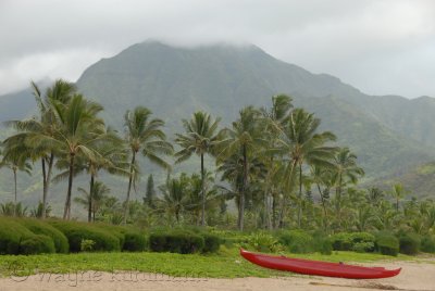Wai'oli Beach