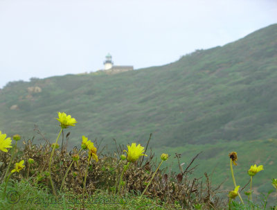 Old Point Loma