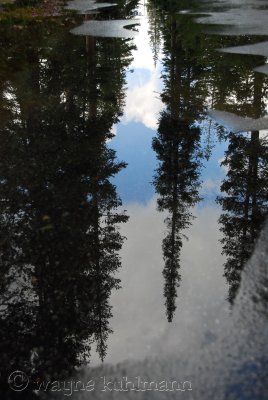 Road to Wright's Lake