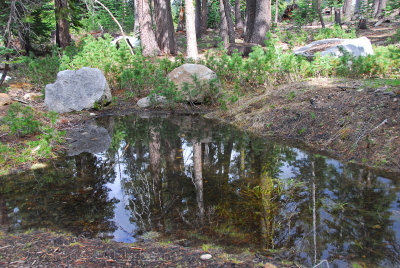 Road to Wright's Lake