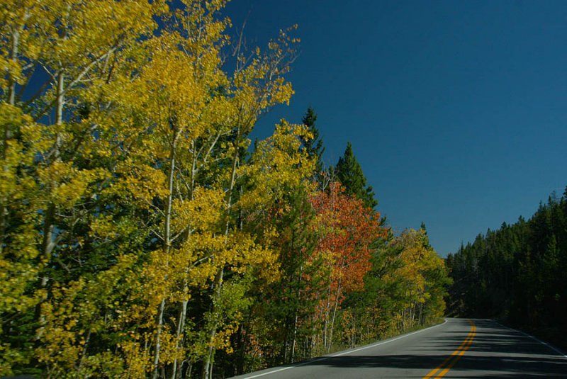 ICR2010_RMNP0419_ROADFALLCOLR1PB.jpg