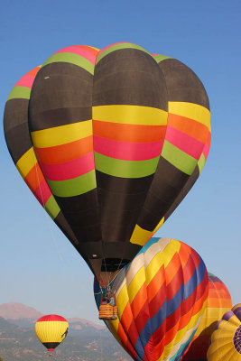 ICR2010_COS8706_COSBALNS1PB.jpg