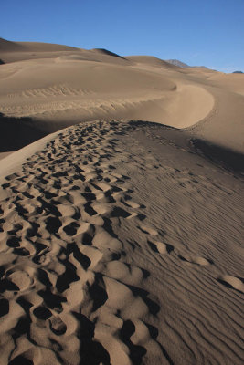 ICR2012_GSD1821_DUNES1821PB.jpg