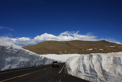 ICR2011_RMNP3791_TRAILRIDGWALS1PB.jpg