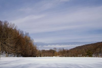 2011_winterscapes