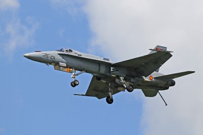 Hornet