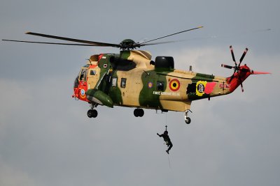 Sea King