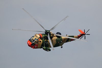 Sea King