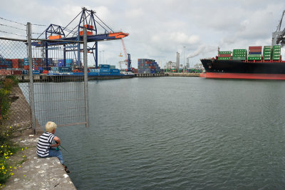 Visplekkie in de Rotterdamse haven