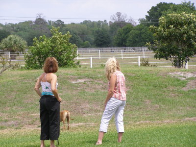 Carole and Karen looking at aligator