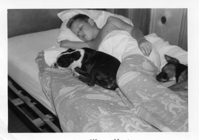 Boy who sleeps with dogs