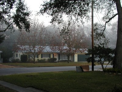 1977 Tampa snow