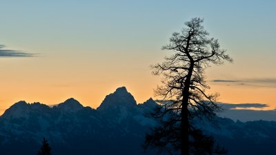 Jackson/Tetons