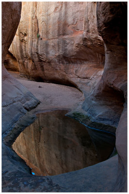 Lost Eden Canyon Pool I