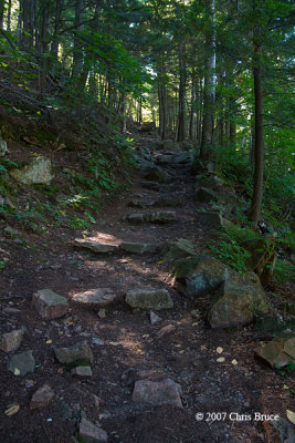 Scene on King Mountain Trail