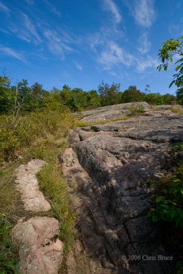 Scene on King Mountain Trail