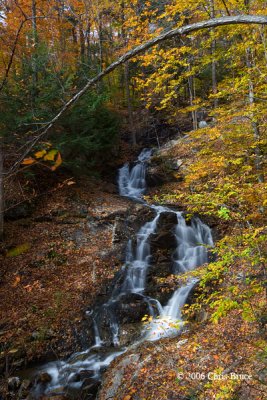 Waterfall Trail Fall Scene