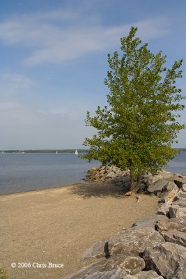 Britannia Park River View