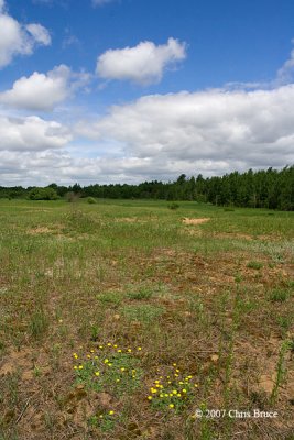 Field behind the Ottawa Airport