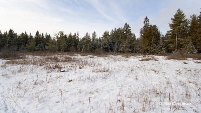 Kerwin Road Trail scene