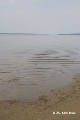 Mud Flat along the Ottawa River